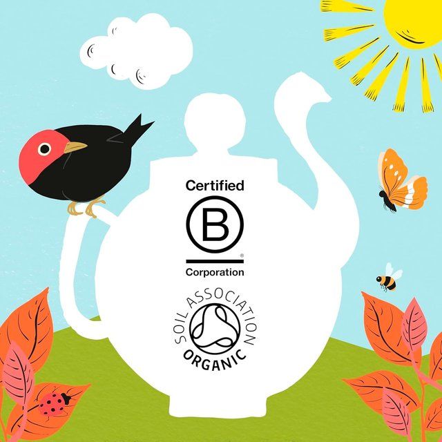 Clipper Organic Fairtrade Restoring Roots Ginger & Turmeric 20 Tea Bags 20 per pack