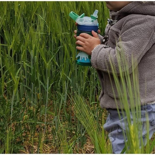 Contigo Gizmo Sip Green Dinosaur Kids Bottle 480ml