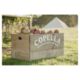 Copella Apple & Pear Fruit Juice 1.35L