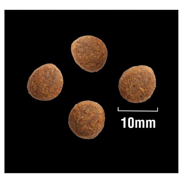 Crave Natural Grain Free Adult Complete Dry Dog Food Turkey & Chicken 2.8kg