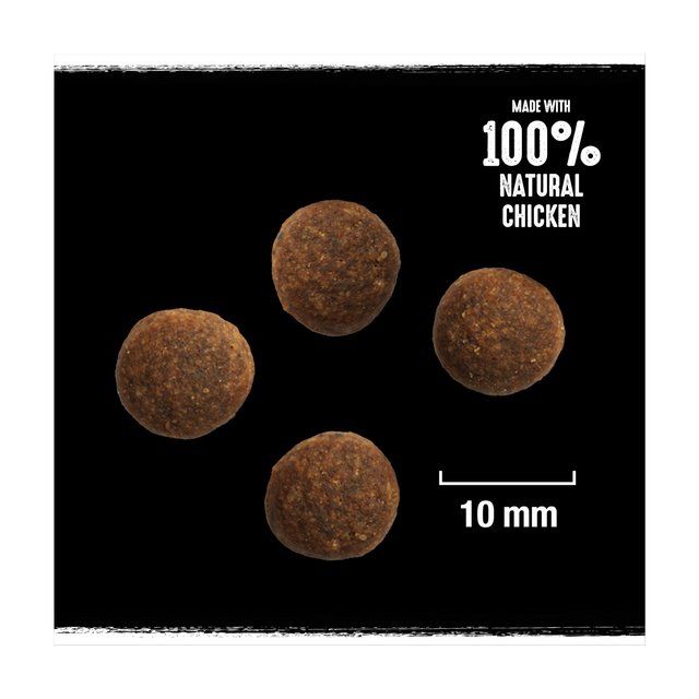 Crave Natural Grain Free Adult Complete Dry Dog Food Turkey & Chicken 2.8kg