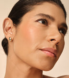 Chantecaille Cheek Gelée gel-cream blush - British product
