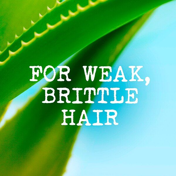 Maui Moisture Thicken & Restore+ Bamboo Fiber Conditioner