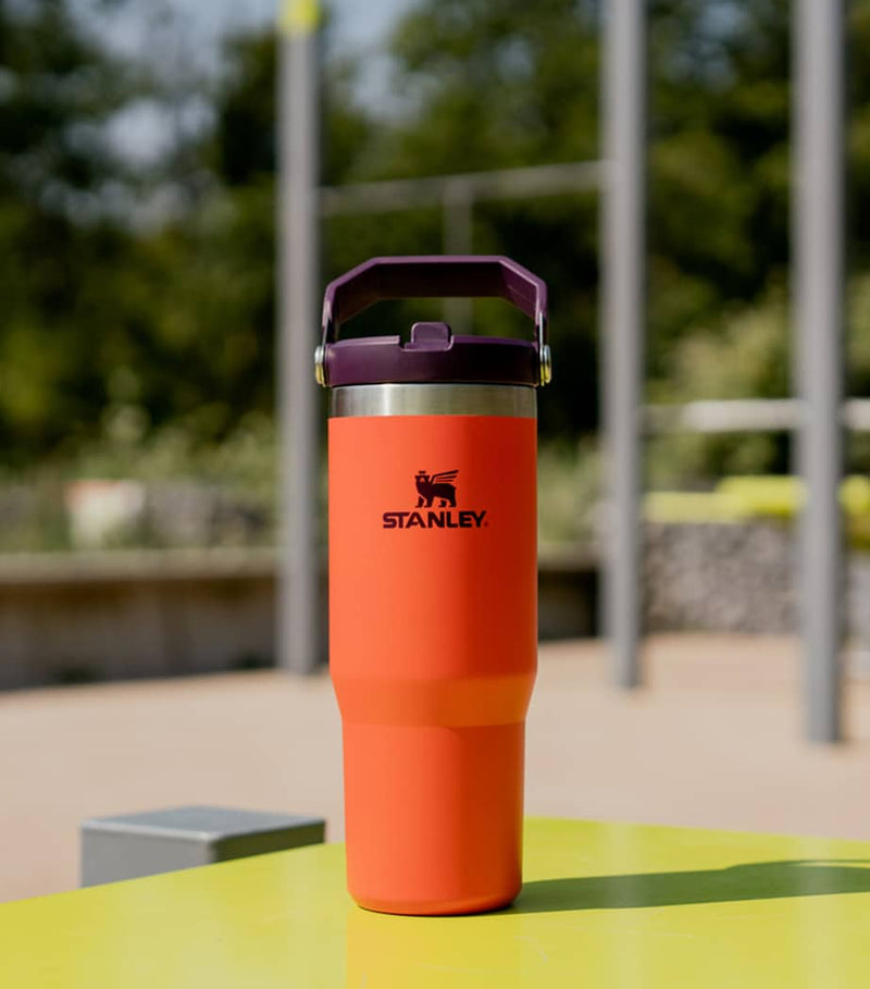 Vacuum Insulated Flip Straw Tumbler 0.89L