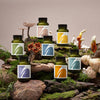 The Herbtender Focus Clarity supplement 60 vegan capsules - British product