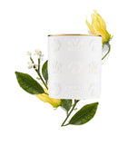Creed Cananga scented candle 220g - British product