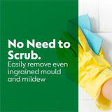 Dettol Antibacterial Mould & Mildew Remover Spray 750ml