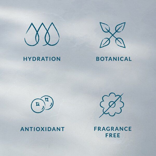 DHC Revitalizing Moisture Strips 2 Sheets X6