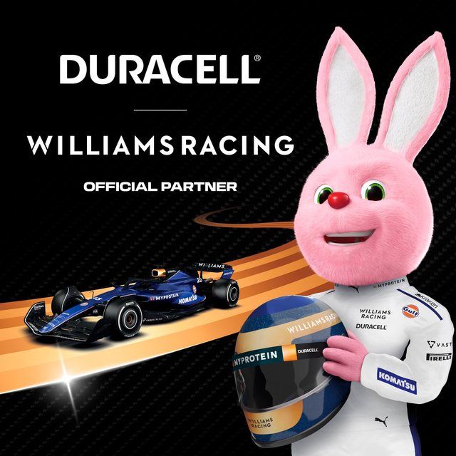 Duracell Optimum AA Batteries 4 per pack