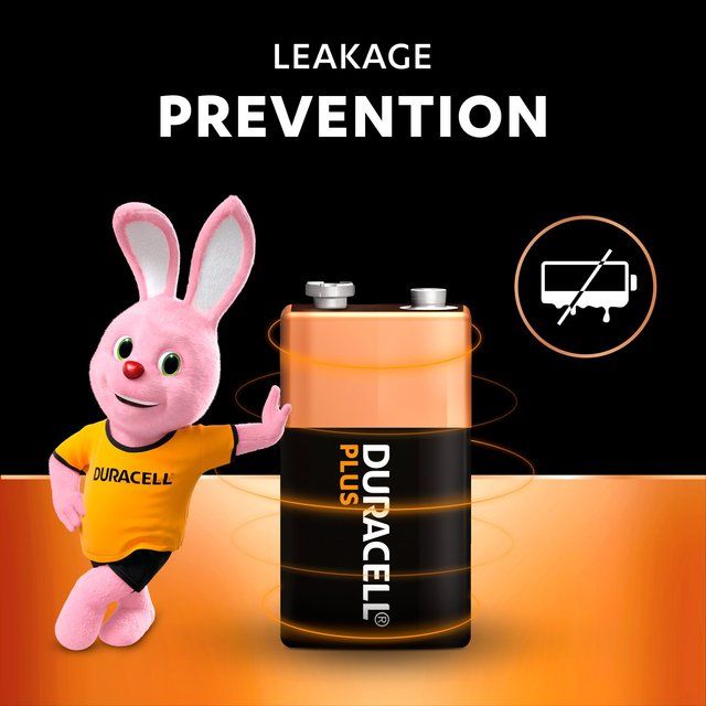 Duracell Plus 100% 9V Alkaline Batteries 2 per pack