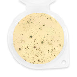 Sassy Scents Cinnamon Sugar Pie Wax Melt 50g, imported from the UK
