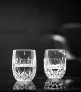 Set of 2 Rounded Whiskey Tumblers 180ml