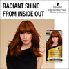 Schwarzkopf Oleo Intense light copper brown hair dye (British brand)