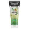 John Frieda Detox and Repair Shampoo for Dry Hair 250ml - British product
