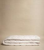 Harrods of London Cotton Single Mattress Protector 90cm x 190cm, UK version
