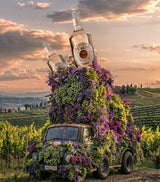 Four-Grape Rosé Wine 2024 Vintage 75cl from Lake Garda, Italy