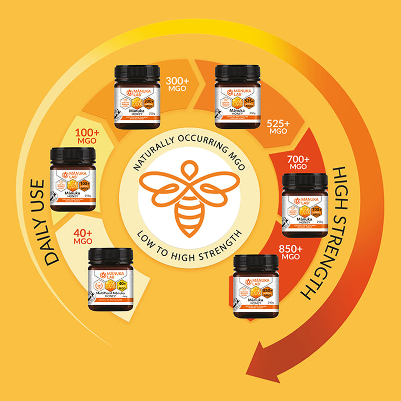 Manuka Lab Monofloral Honey 100 MGO 250g, imported from the UK