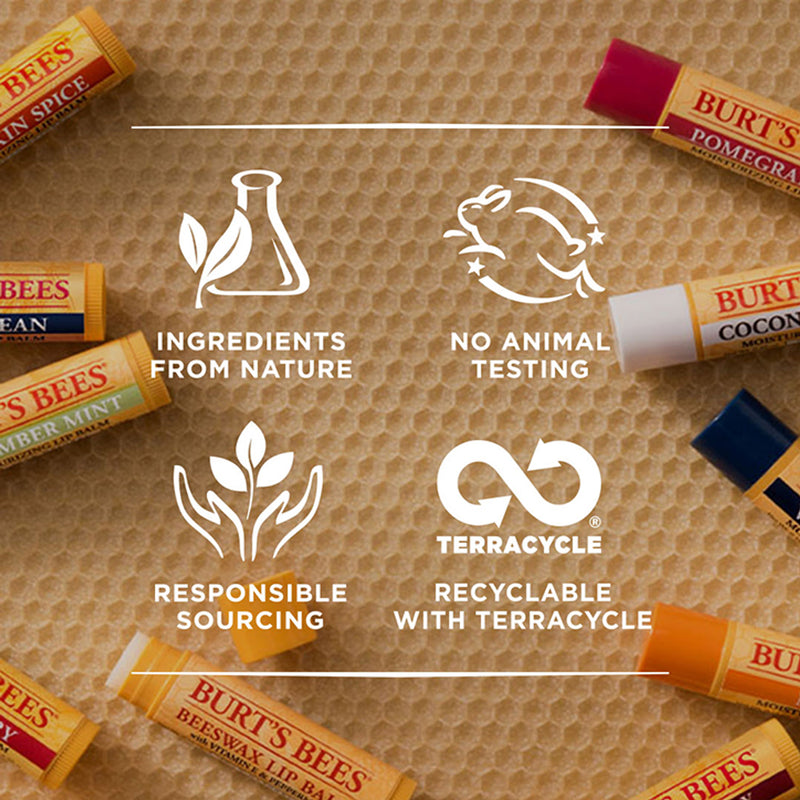 Burt's Bees Lip Balm Honey 4.25g