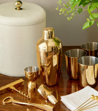 Aerin Stainless Steel Fausto Shaker Set