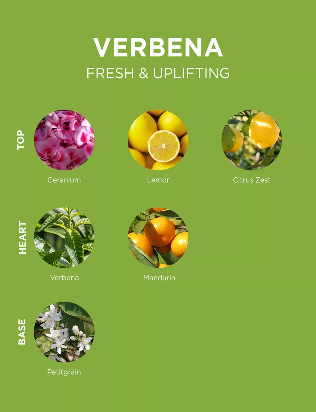 Verbena Eau de Toilette 100ml Accessories & Cleaning M&S