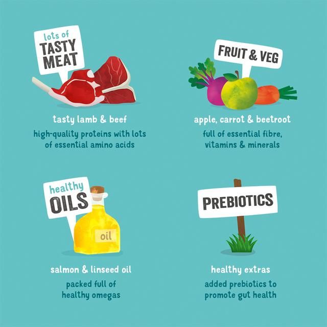 Edgard & Cooper Adult Grain Free Wet Dog Food with Lamb & Beef 400g