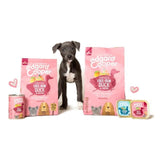 Edgard & Cooper Puppy Grain Free Wet Dog Food with Duck & Chicken 400g