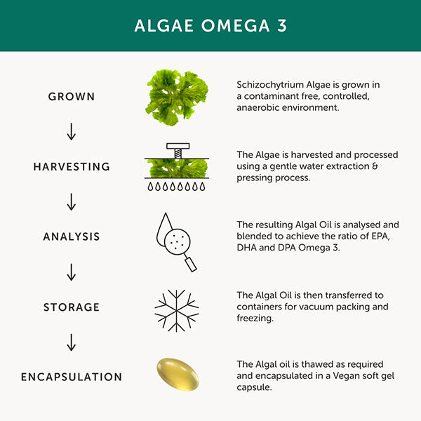 Together Health Omega 3 – Vegan Omega 3 – 30 Softgels GOODS Superdrug