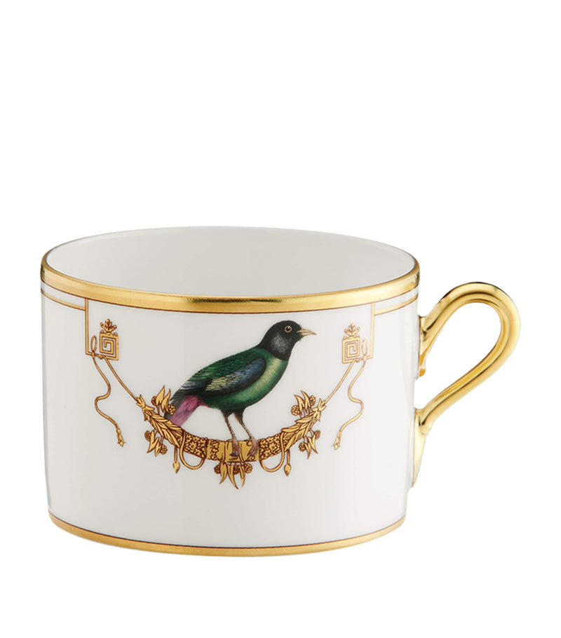 GINORI 1735 Volière porcelain teacup, UK version