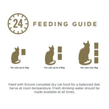 Encore Fish Selection Cat Pouch in Jelly 5 x 50g