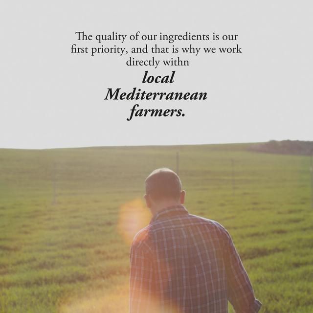 Estrella Damm Premium Lager Beer Bottles 12 x 330ml