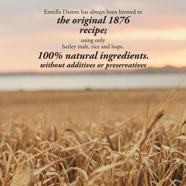 Estrella Damm Premium Lager Beer Cans 6 x 330ml