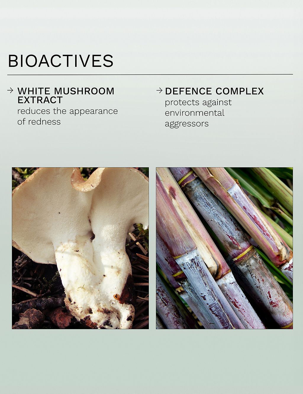 Evercalm™ Redness Relief Serum 30ml