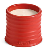 LOEWE Small Tomato Leaves Scented Candle 170g