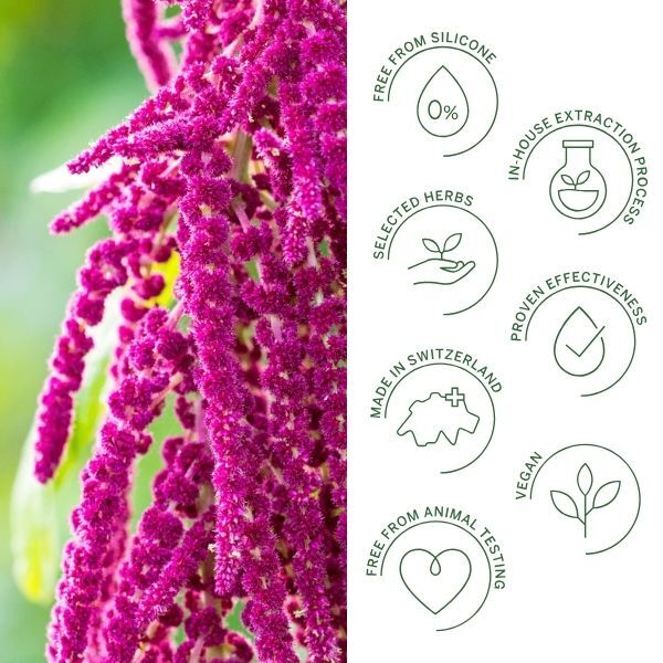 Rausch Repair Serum with Amaranth 30ml, imported from the UK