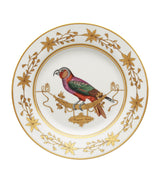 GINORI 1735 Volière Perroquet Nestor Porcelain Dinner Plate 26.5cm