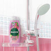 Radox Secret Garden Special Edition Shower Gel 450ml, imported from the UK