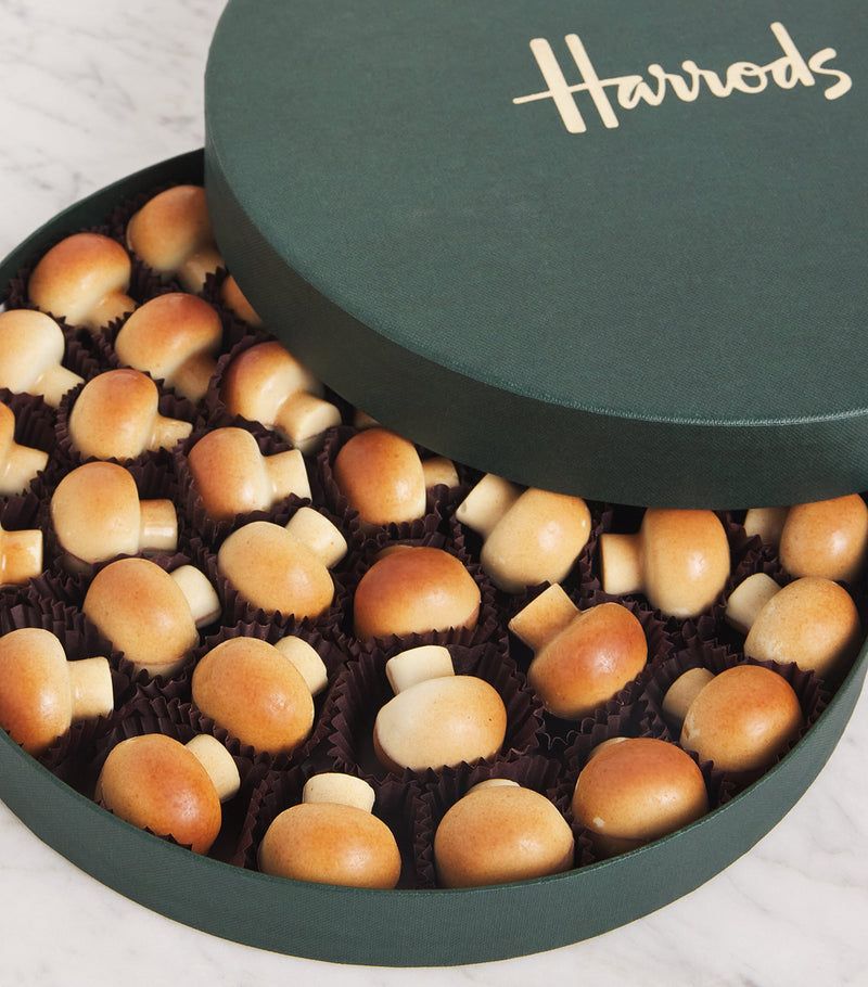 Harrods Belgian mini chocolate selection with mushroom-shaped chocolates and hazelnut praline 560g, UK version