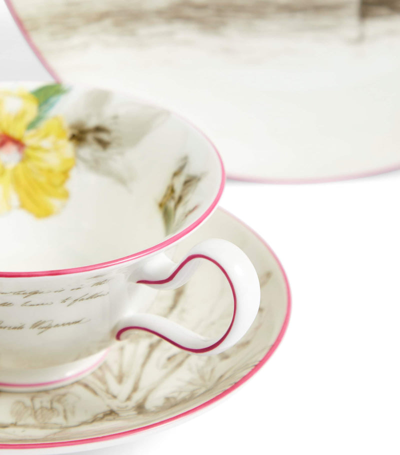 Wedgwood Voyage of the Beagle Galapagos Islands plate, teacup and saucer set (British brand)