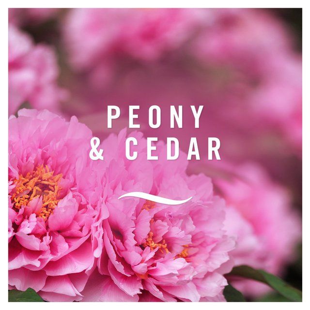 Febreze 3Volution Starter Kit Peony & Cedar 20ml