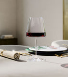 Villeroy & Boch MetroChic red wine glasses set of 2 200ml (British brand)