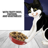 Felix Doubly Delicious Beef Chicken & Vegetables Dry Cat Food 750g