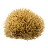 Hydrea London Mediterranean Honeycomb Sea Sponge Bathing Sponge 4-4.5 inch