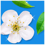 Flash Spray Wipe Done Orange Blossom Mrs Hinch 800ml