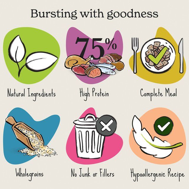 Forthglade Complete Senior Whole Grain White Fish with Brown Rice & Veg 395g