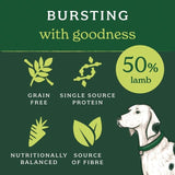 Forthglade Lightly Baked Natural Dry Dog Food Lamb with Sweet Potato 2kg