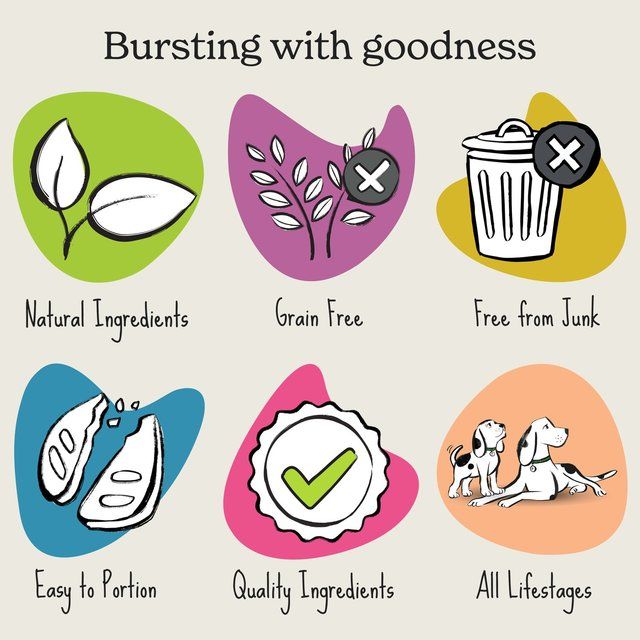 Forthglade Natural Soft Bites Lamb Dog Treats 90g