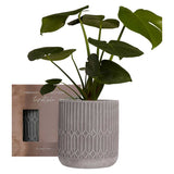 French Connection Lifestyle Plant Pot