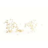 Garofalo Orzo Pasta 500g