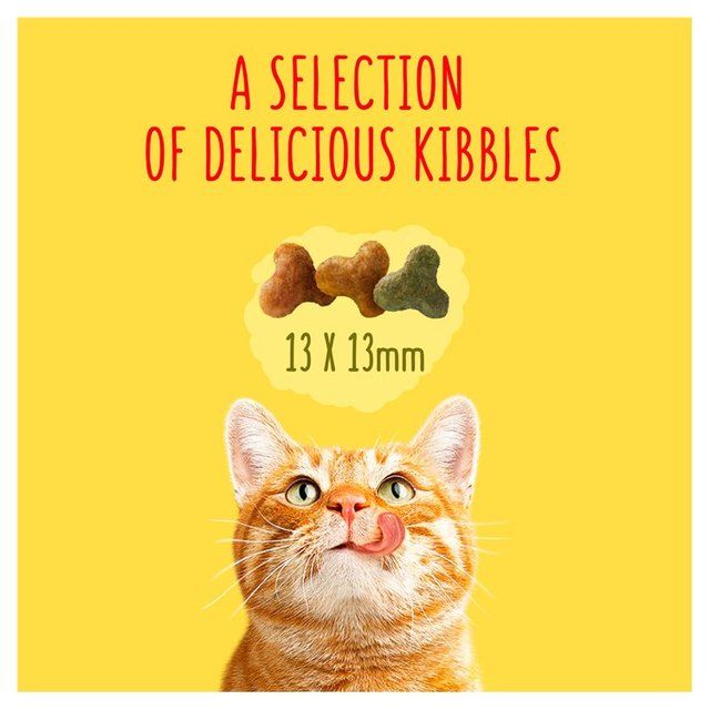 Go-Cat Senior Chicken and Turkey Dry Cat Food 750g