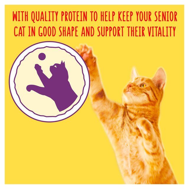 Go-Cat Senior Chicken and Turkey Dry Cat Food 750g